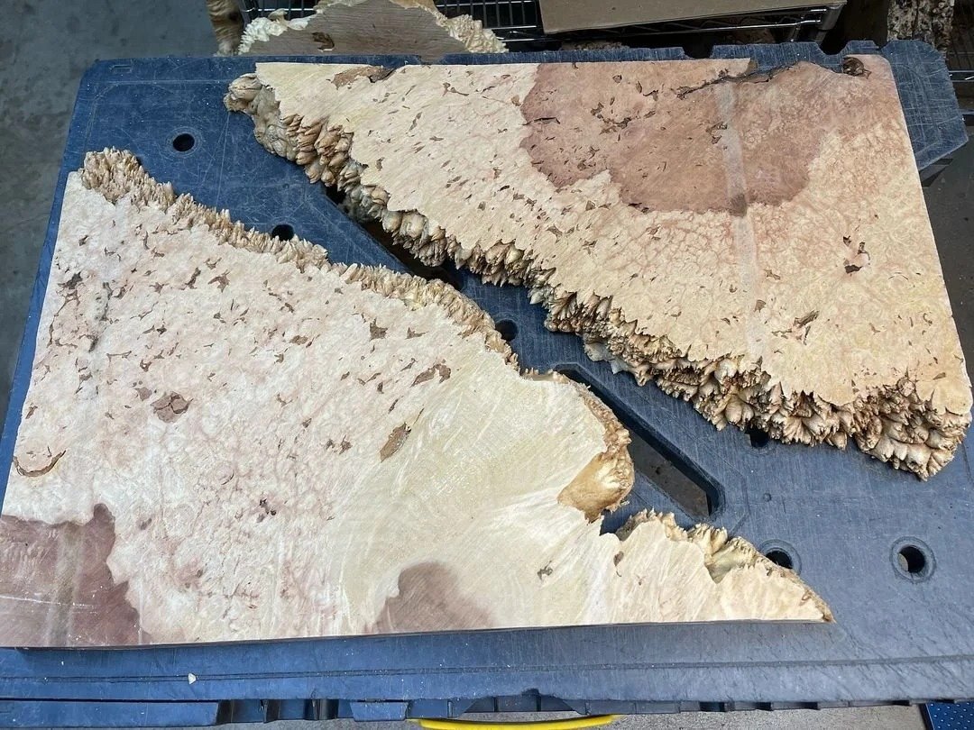 Flame Maple Burl