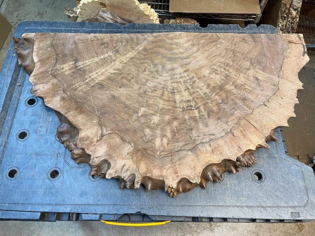 Claro Walnut Burl